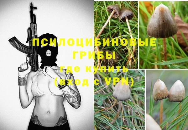 бошки Алексин