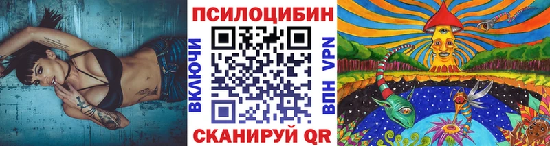 где можно купить наркотик  Пермь  Галлюциногенные грибы Psilocybine cubensis 